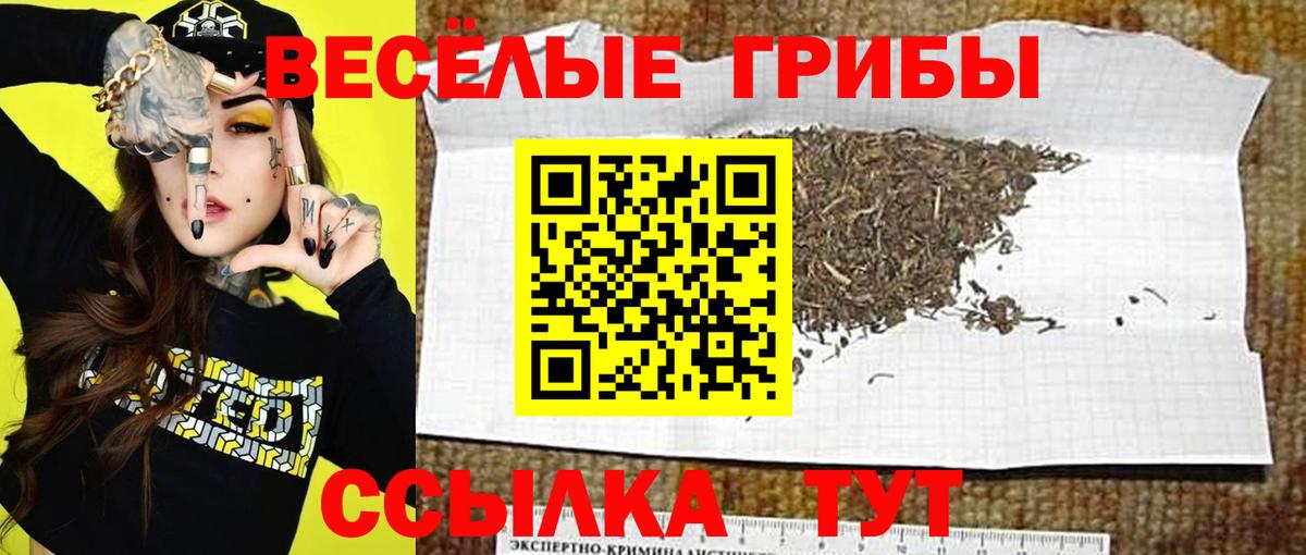 Галлюциногенные грибы прущие грибы Зеленодольск